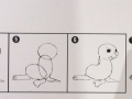 White Seal Step by Step Drawing