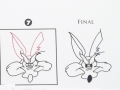 Wile E Coyote Step by Step Drawing